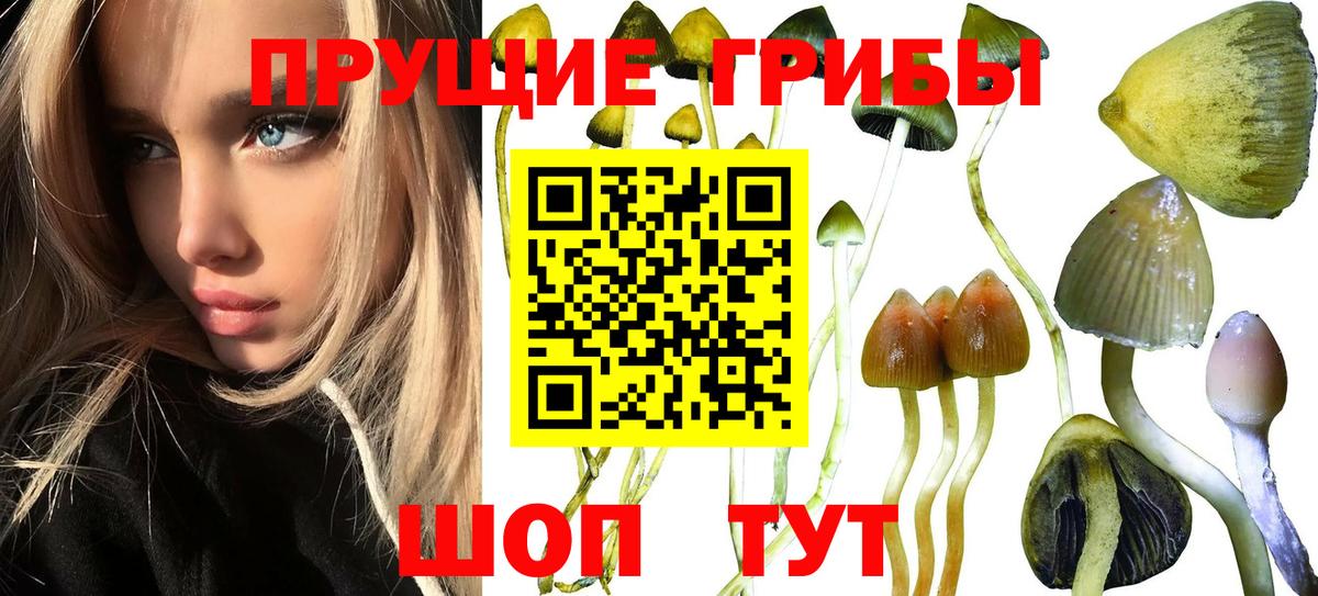 Галлюциногенные грибы Magic Shrooms Каспийск